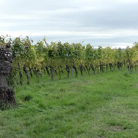 Beautiful F3 Near Strasbourg Europapark Rulantica