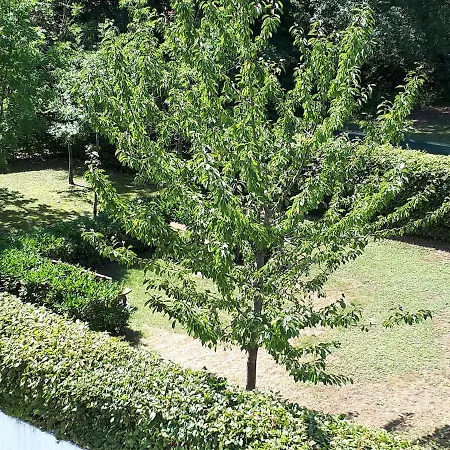 Beautiful F3 Near Strasbourg Europapark Rulantica *
