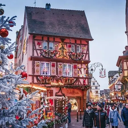 Beautiful F3 Near Strasbourg Europapark Rulantica * Bourgheim