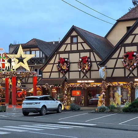 Beautiful F3 Near Strasbourg Europapark Rulantica Appartement