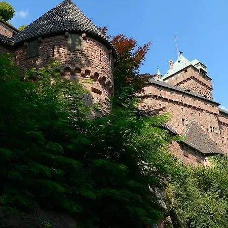 Beautiful F3 Near Strasbourg Europapark Rulantica Appartement