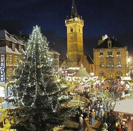 Beautiful F3 Near Strasbourg Europapark Rulantica * Bourgheim