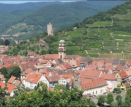 Beautiful F3 Near Strasbourg Europapark Rulantica Appartement